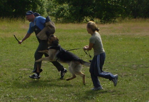 Training in Estonia 6/2007